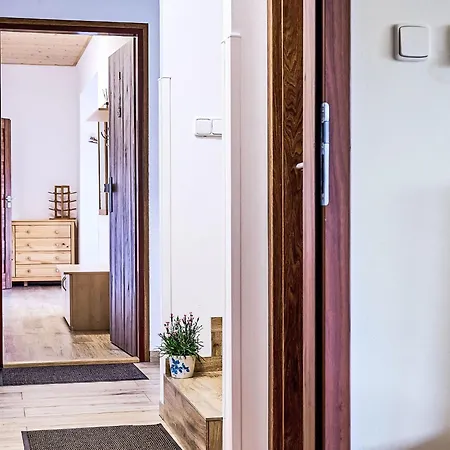 Pod Cernou Studnici-3 By Interhome Nova Ves nad Nisou
