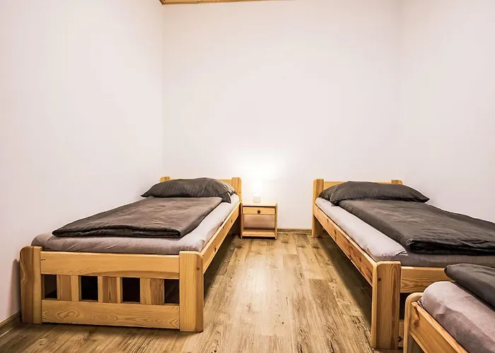 Pod Cernou Studnici-3 By Interhome Lägenhet Nova Ves nad Nisou