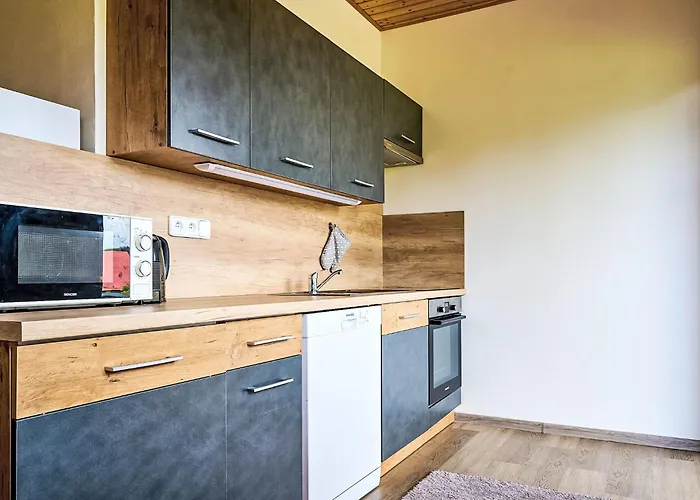 Pod Cernou Studnici-3 By Interhome * Nova Ves nad Nisou