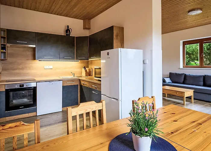 Lägenhet Pod Cernou Studnici-3 By Interhome Nova Ves nad Nisou